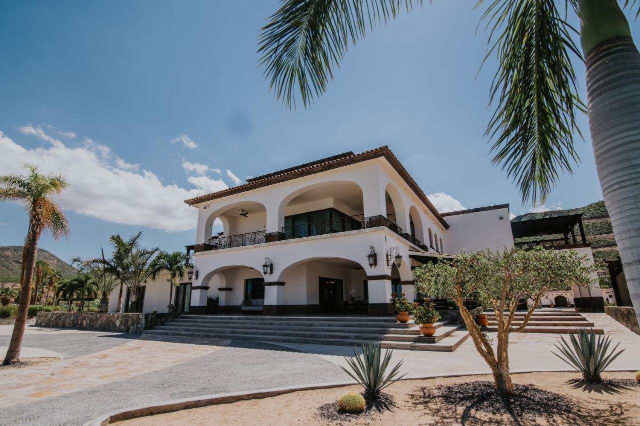 Orchid House Baja Hotel La Paz Eksteriør billede