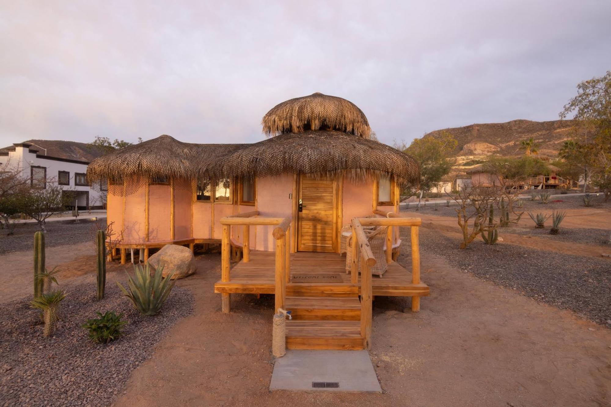Orchid House Baja Hotel La Paz Eksteriør billede