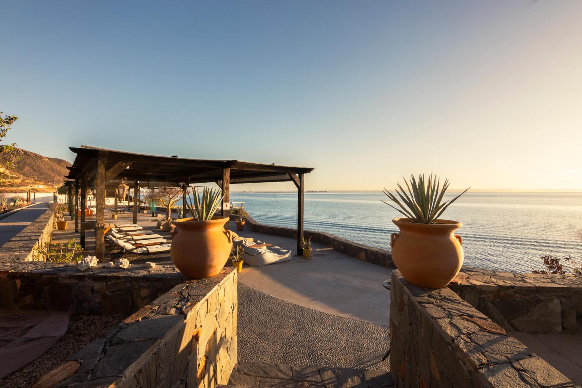 Orchid House Baja Hotel La Paz Eksteriør billede